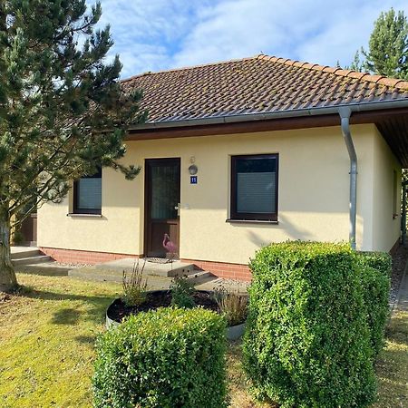 Ferienhaus Vogelmeer Marlow Exterior foto